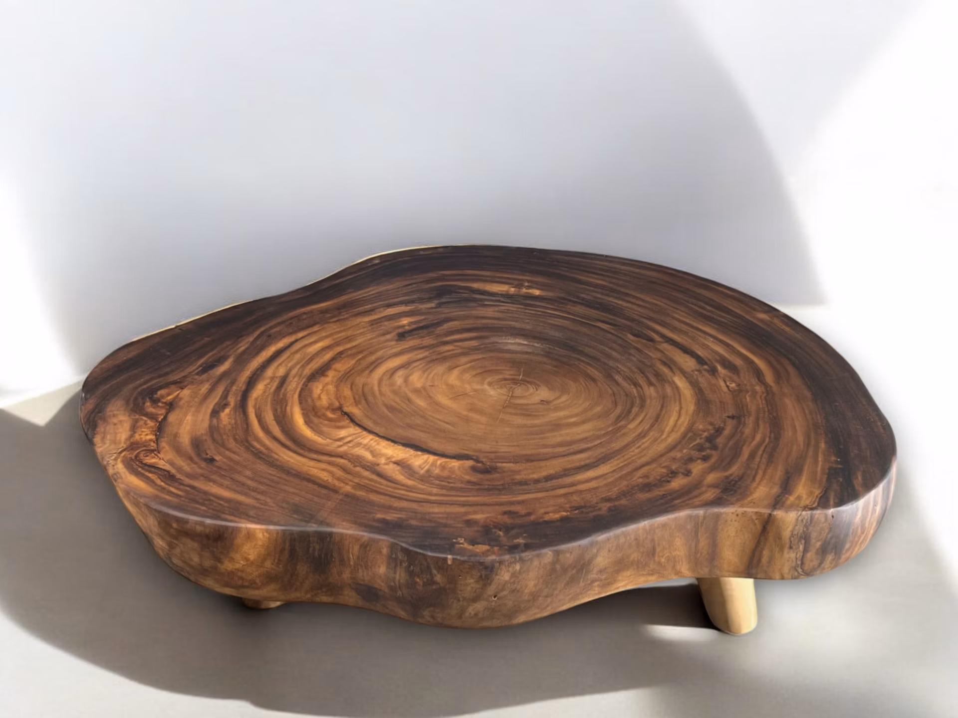 Trunk XXV 160x115x35
