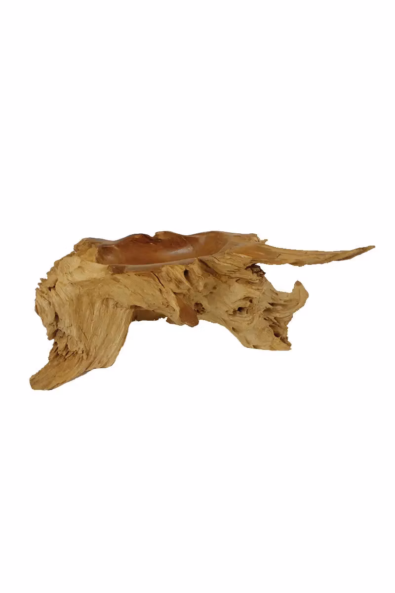 Misa Teak