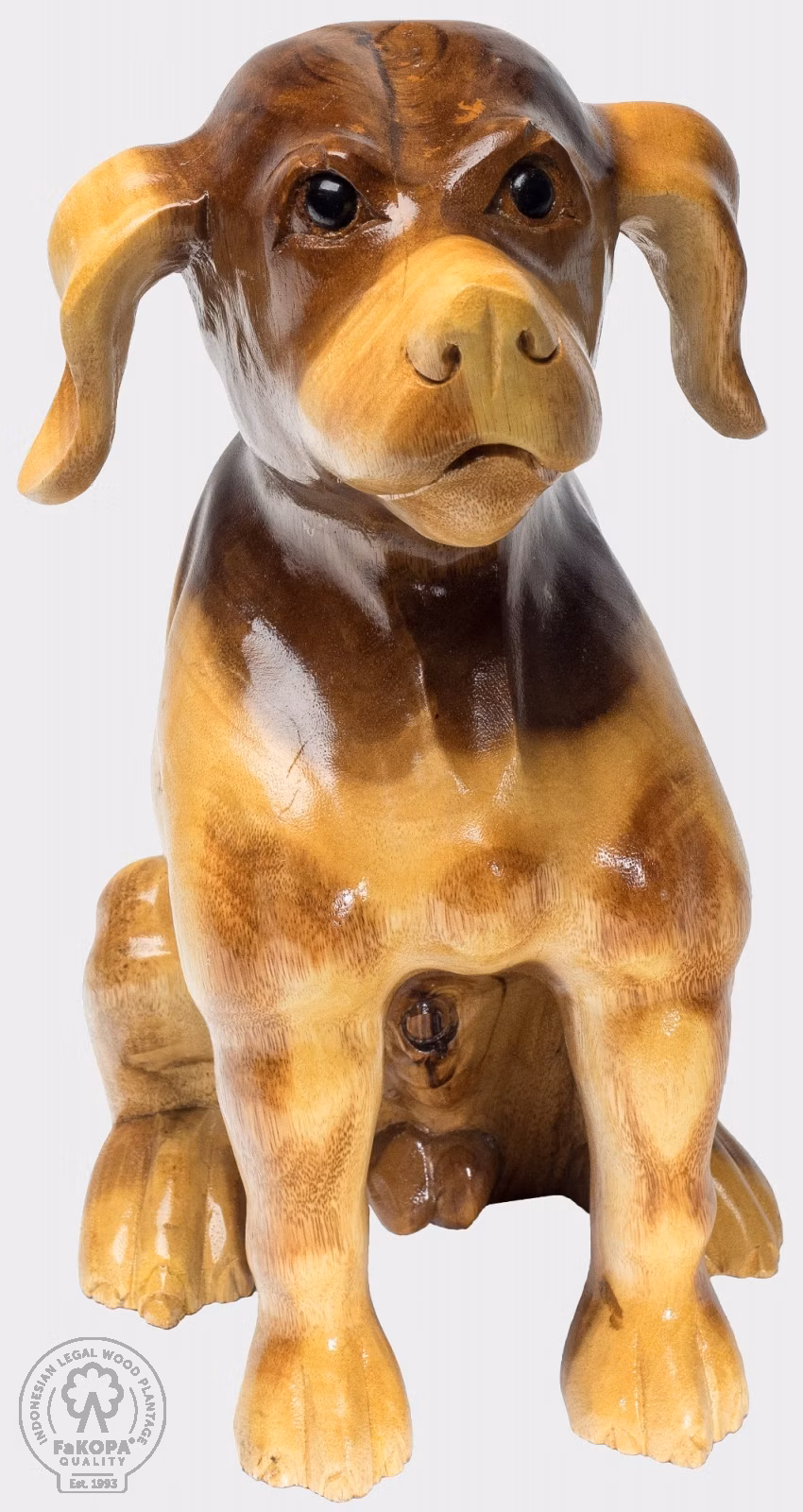 DOG XXL - pes ze suaru