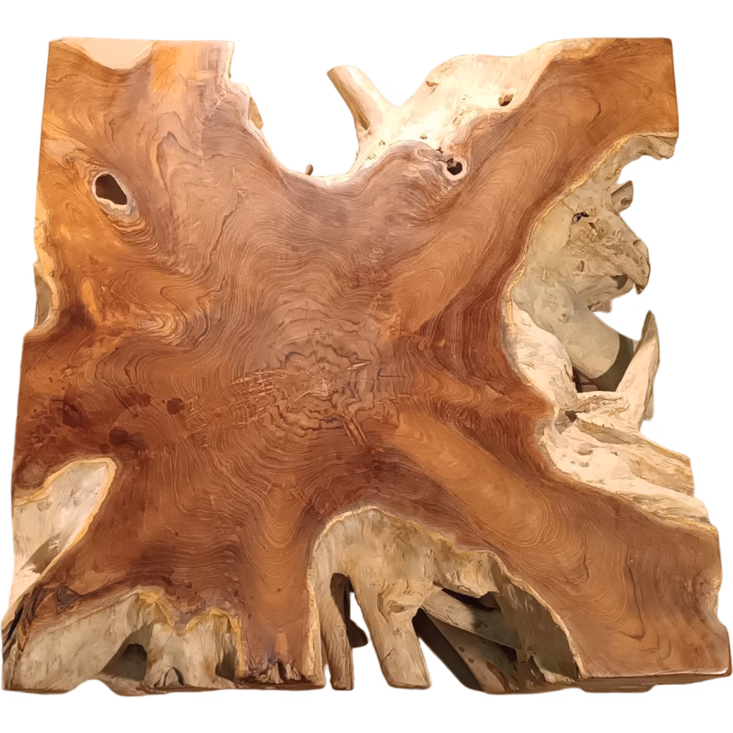 BRANCH 80x80x45cm stolek z teaku