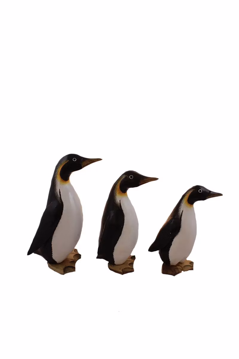 54bcd0a3358505f270d2e1b54174384f