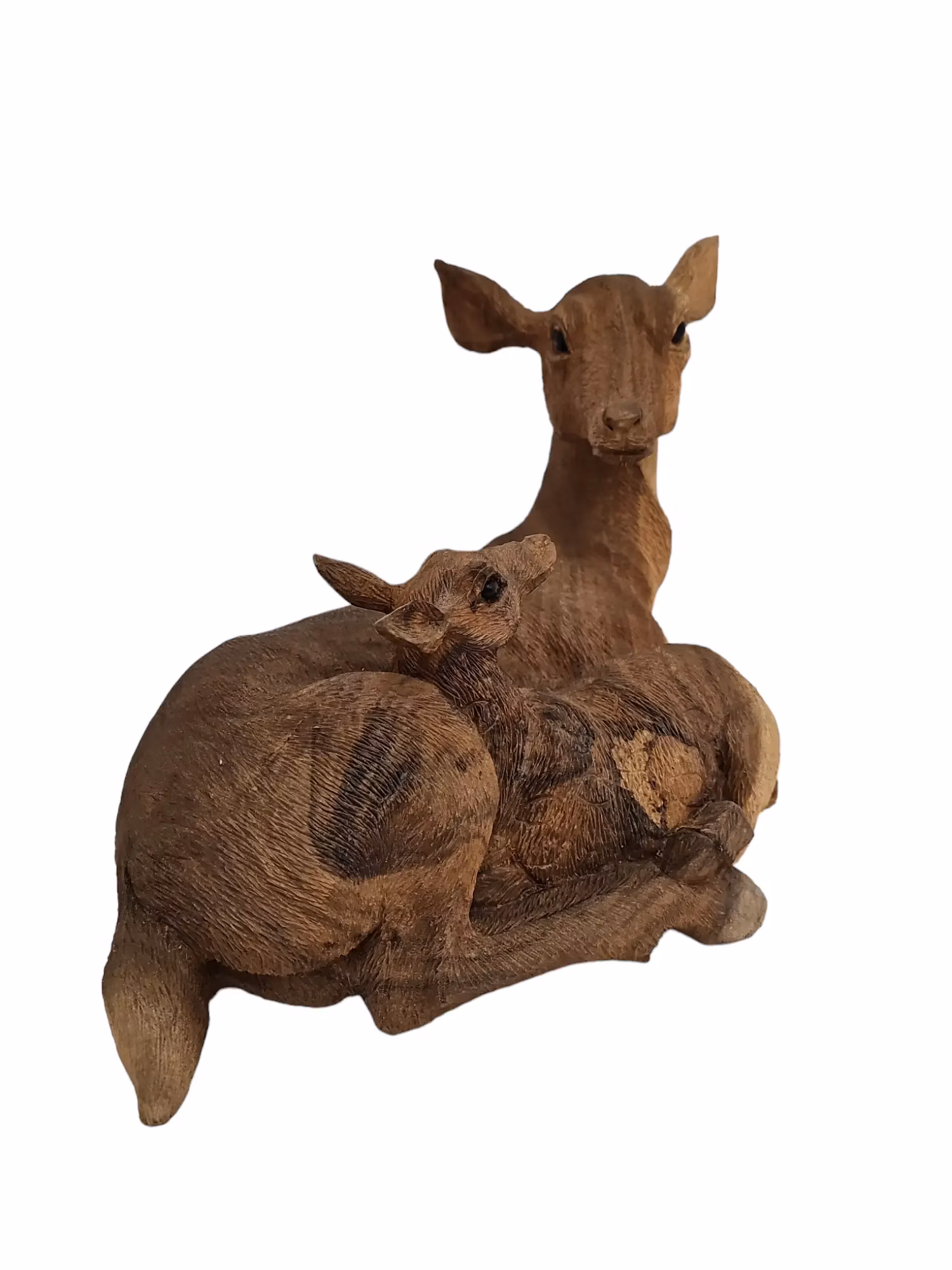 e2b5c02ceea6379a9222d557b3dde6fd