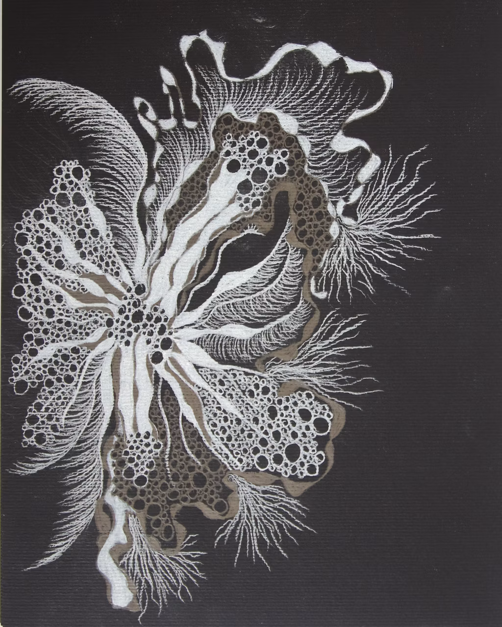 VIRGO BLECTATIO (12)