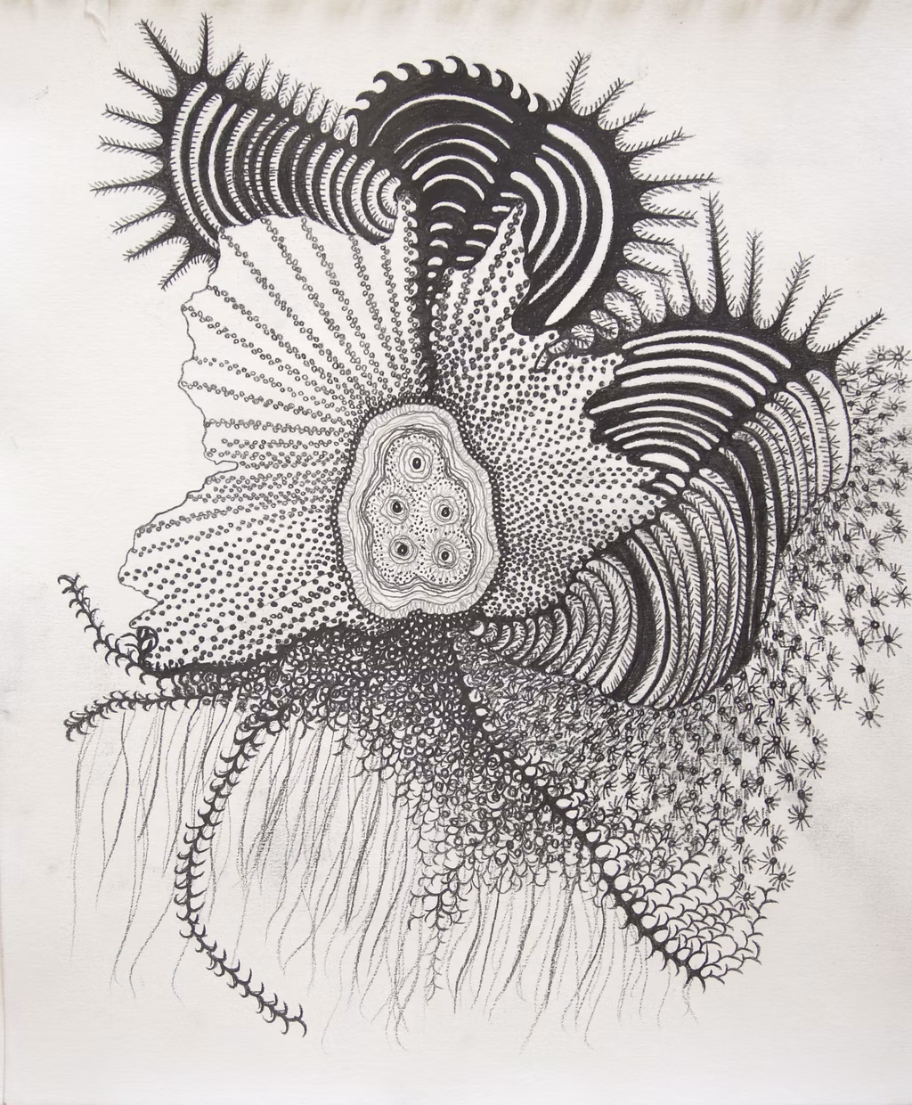GORGONIA ANIMALIS (18)