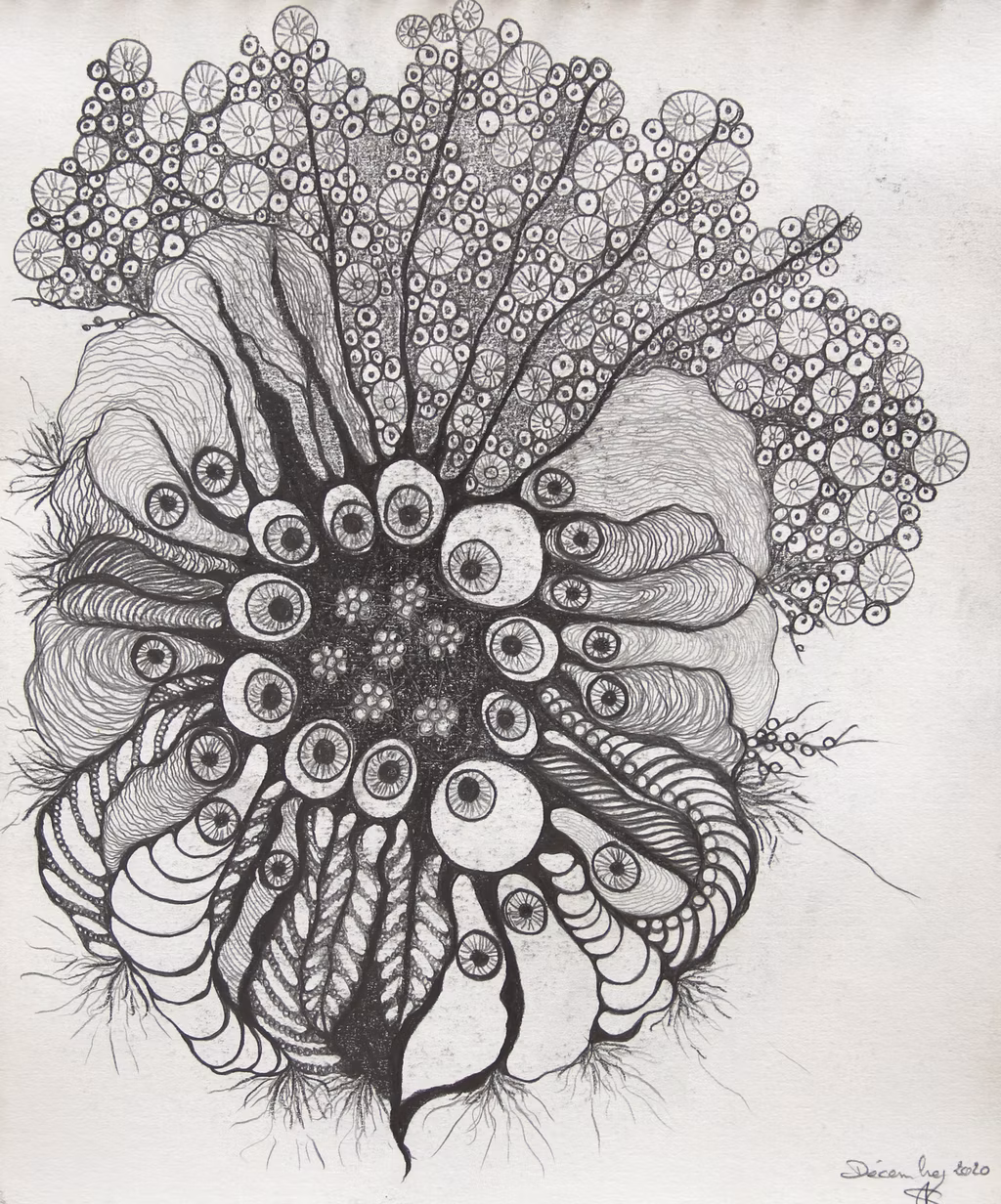GORGONIA ANIMALIS (6)