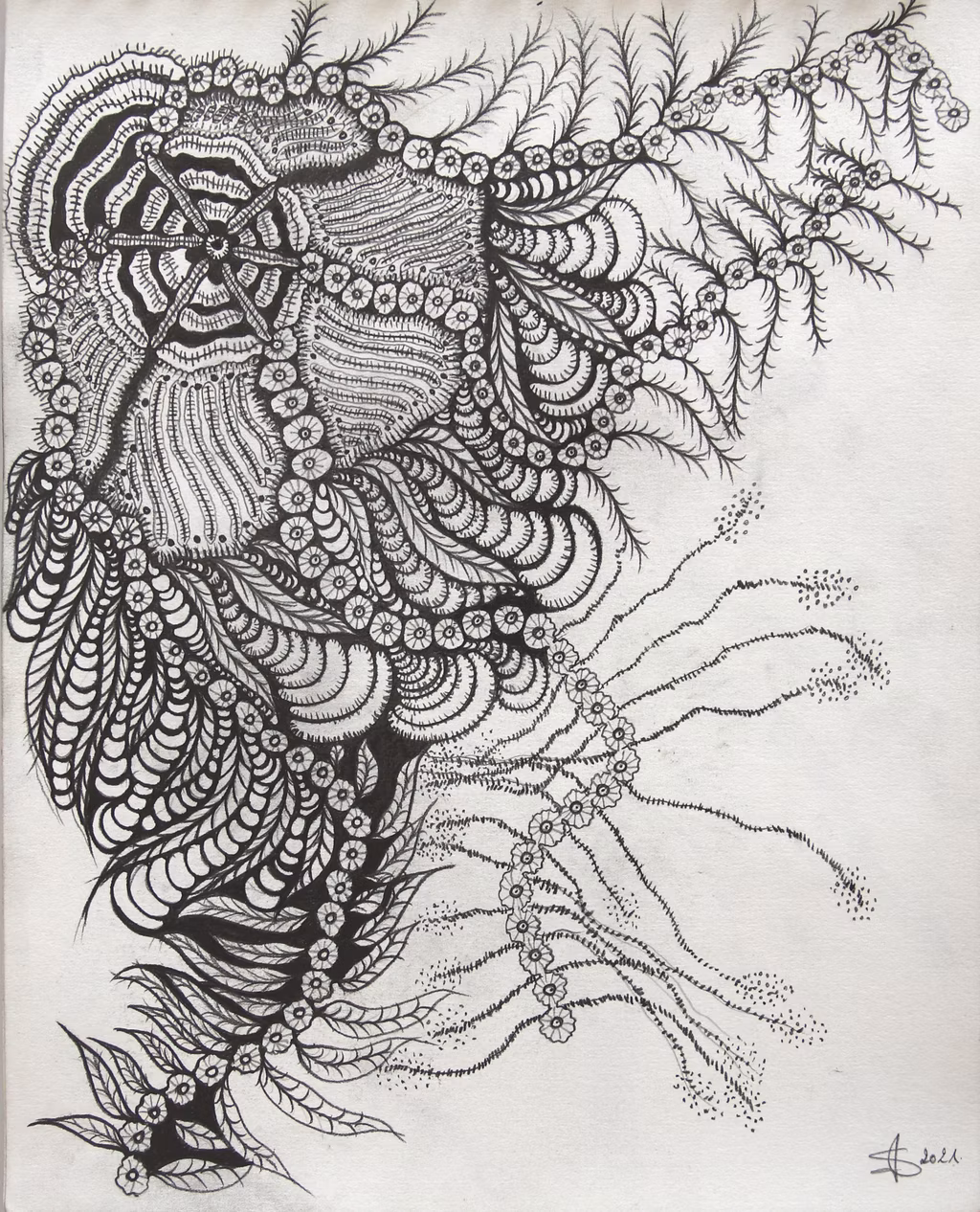 GORGONIA ANIMALIS (12)