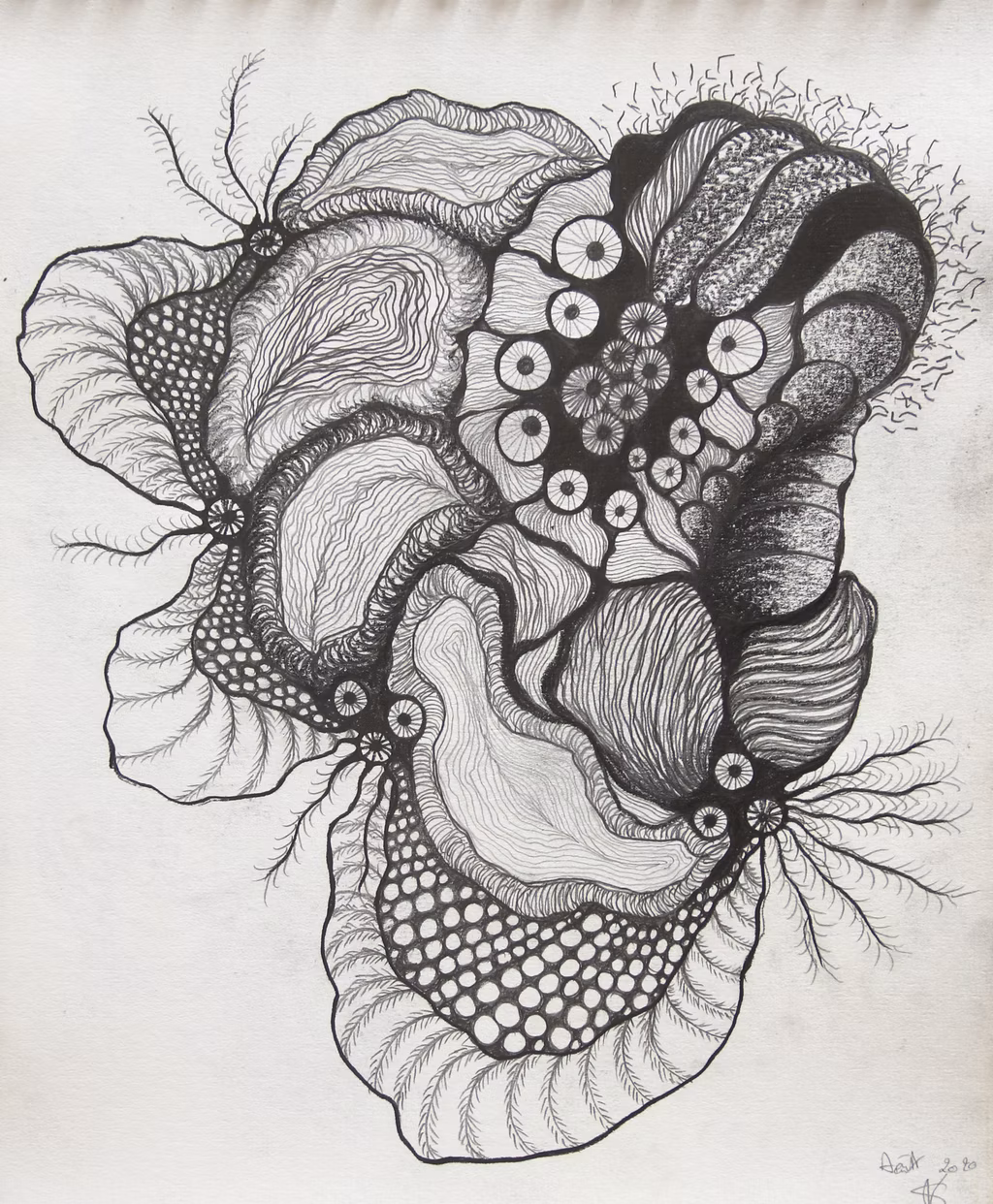 GORGONIA ANIMALIS (5)