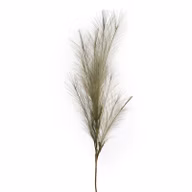 067c5909c6b66aa29aef461e3f1acb74