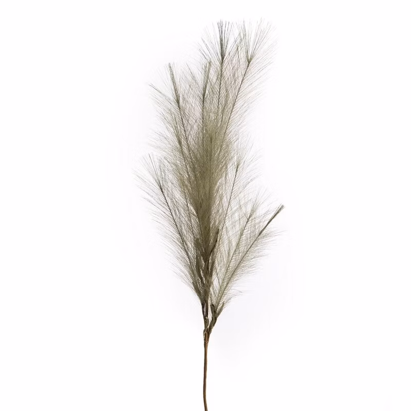 067c5909c6b66aa29aef461e3f1acb74