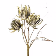 27cf2c28677758ce3593e80fed1918d0