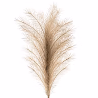 387bf050928d3c7a701982c7541be54b