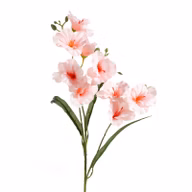 6b6d694f0f41d91c743f91f18ea9daae