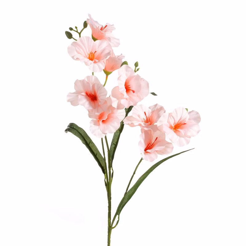6b6d694f0f41d91c743f91f18ea9daae