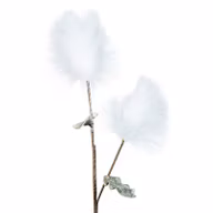 7bc39948d77b2a38215c963bd12684e8