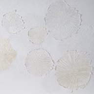 7d10b2851e2bf3a55174de6ce7b90ffc