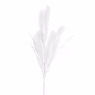bcc1706487e416db6a358bc21515ca65