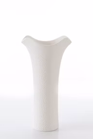 c4c4a31d2f1575750838fed7c325ec68