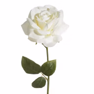 f3a6d33c649f9a459adaea6b700dd072