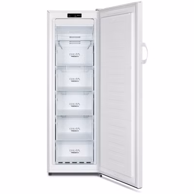 Gorenje FN4171CW