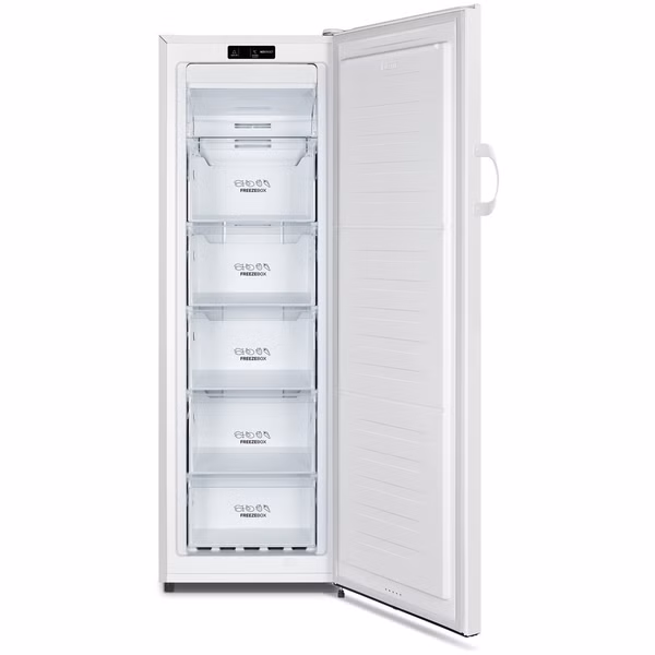 Gorenje FN4171CW