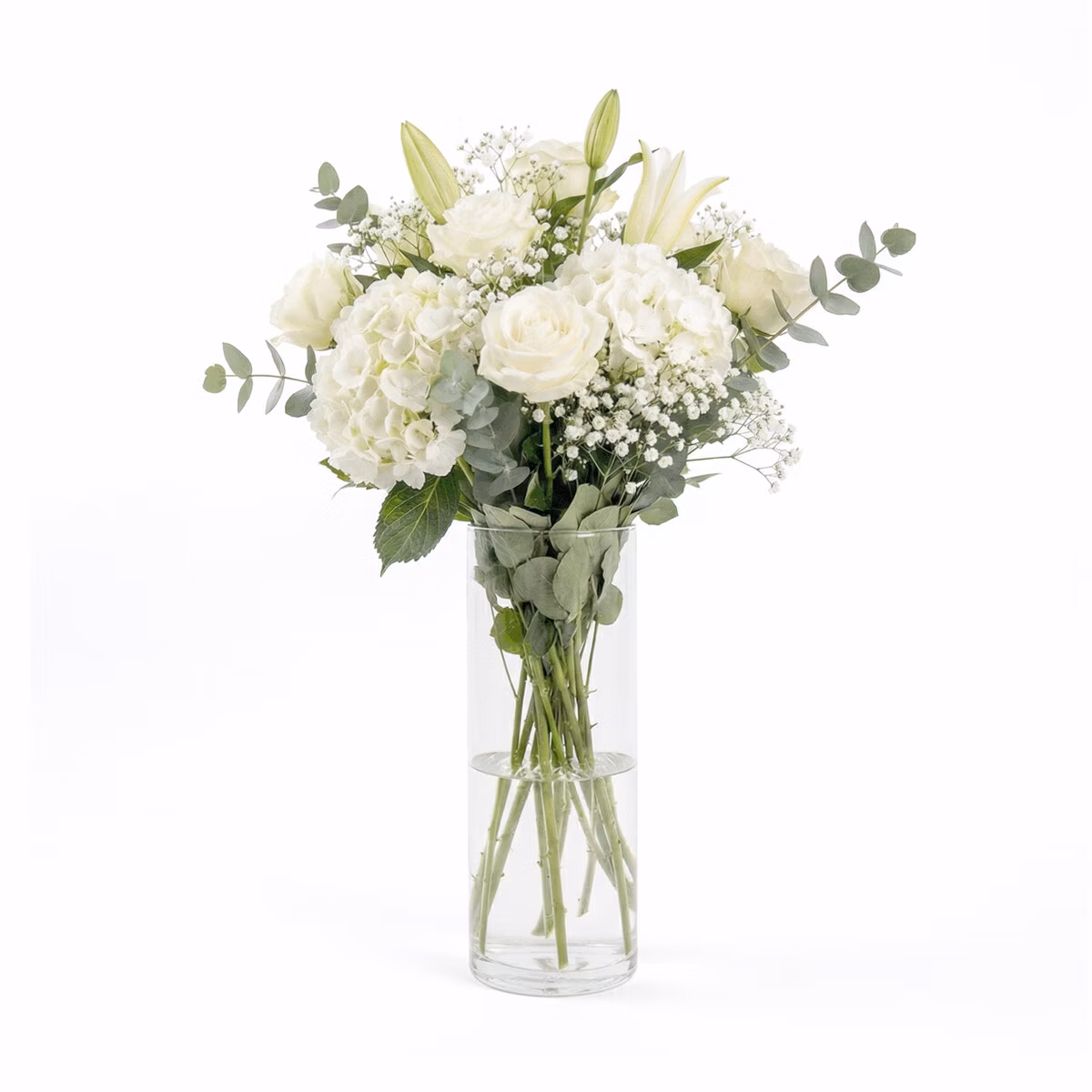 0030d1d39290d58b8bf0326c1c5b457d