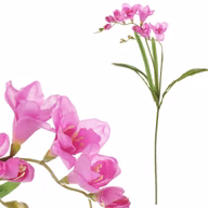 02278bdbfdc4b301adb3319c36b1b711