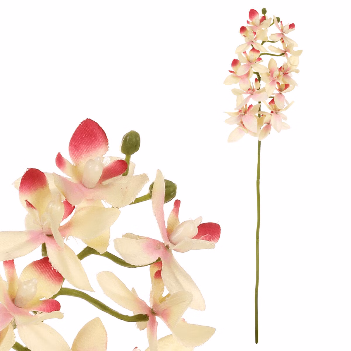 03ec2eb1bccbb08c053cc865cde8e67d