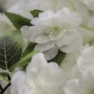 04bb1f48f1c77be93ad3cfcc2d694f1d