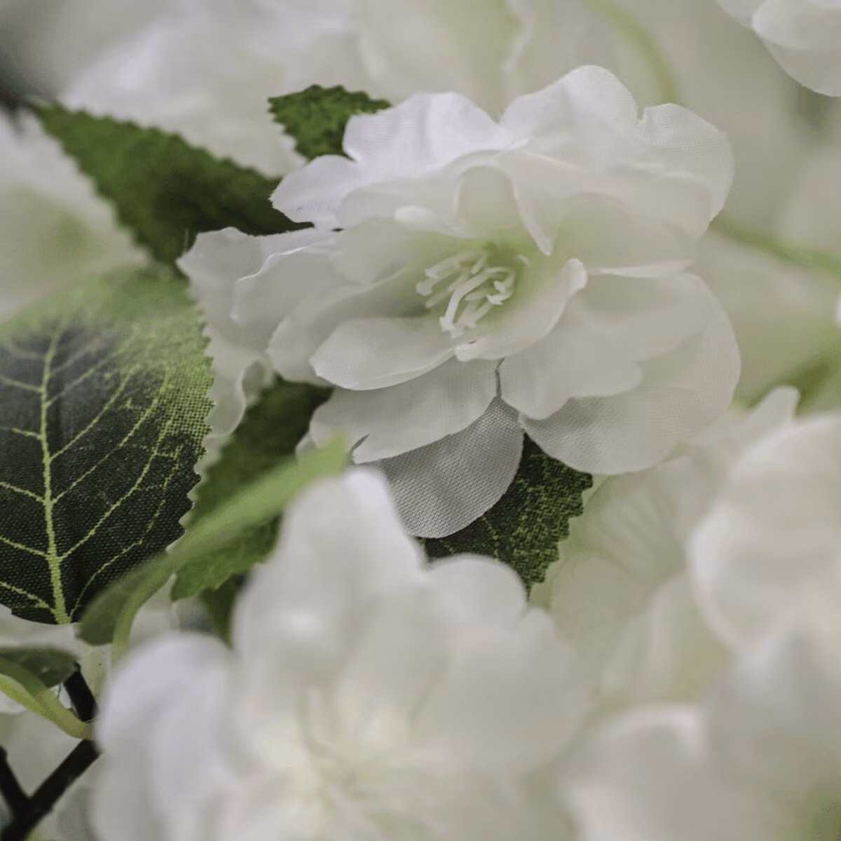 04bb1f48f1c77be93ad3cfcc2d694f1d