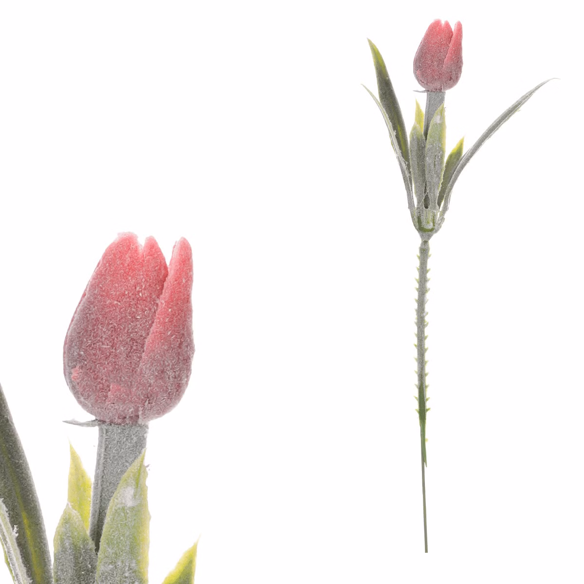 04be7b8d8c0ceac727b60a86952fa034