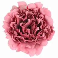04f9a3ed31a140d5c82ef7c07ff9cad5