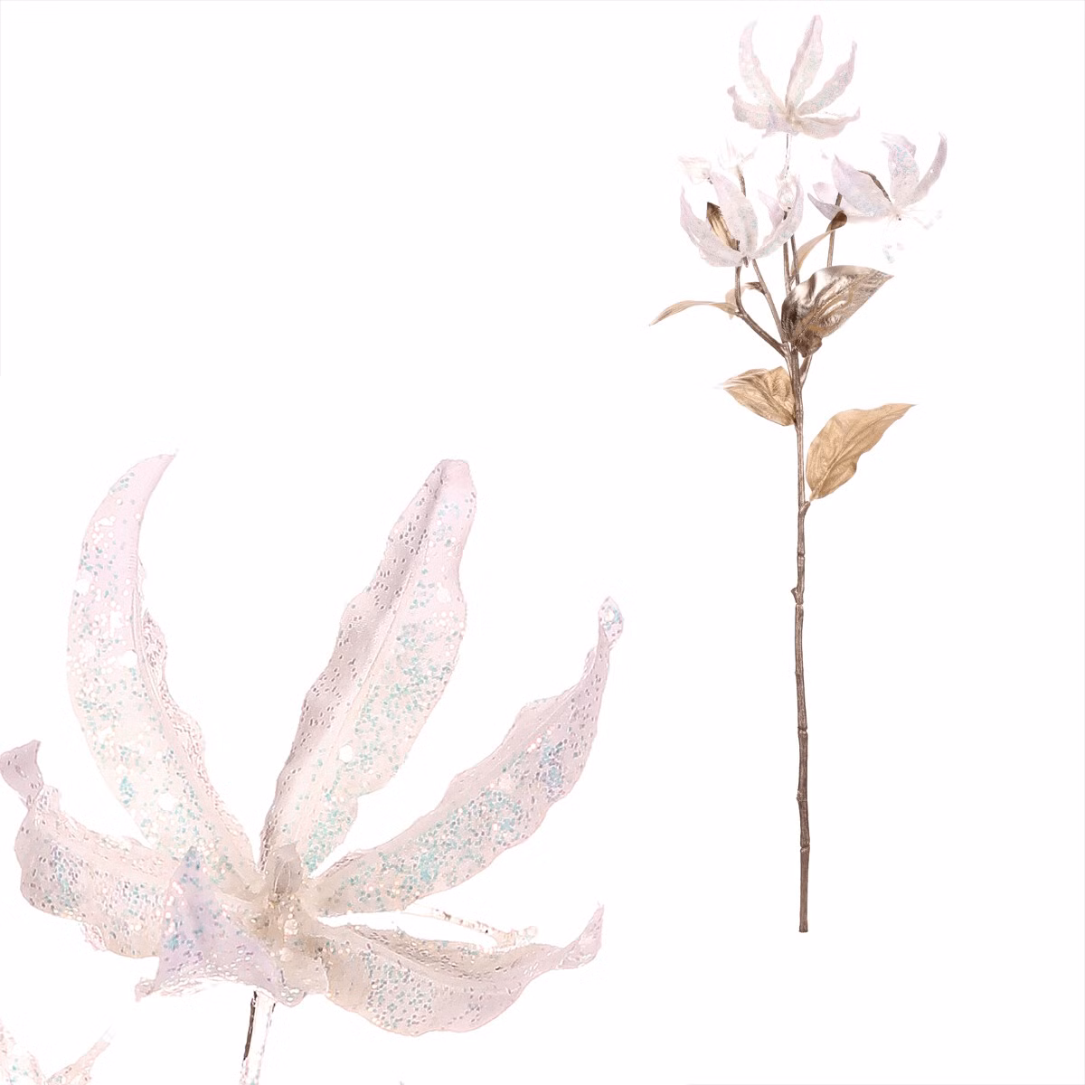 0520a1f39c25b5ac86f42109d56c9af4