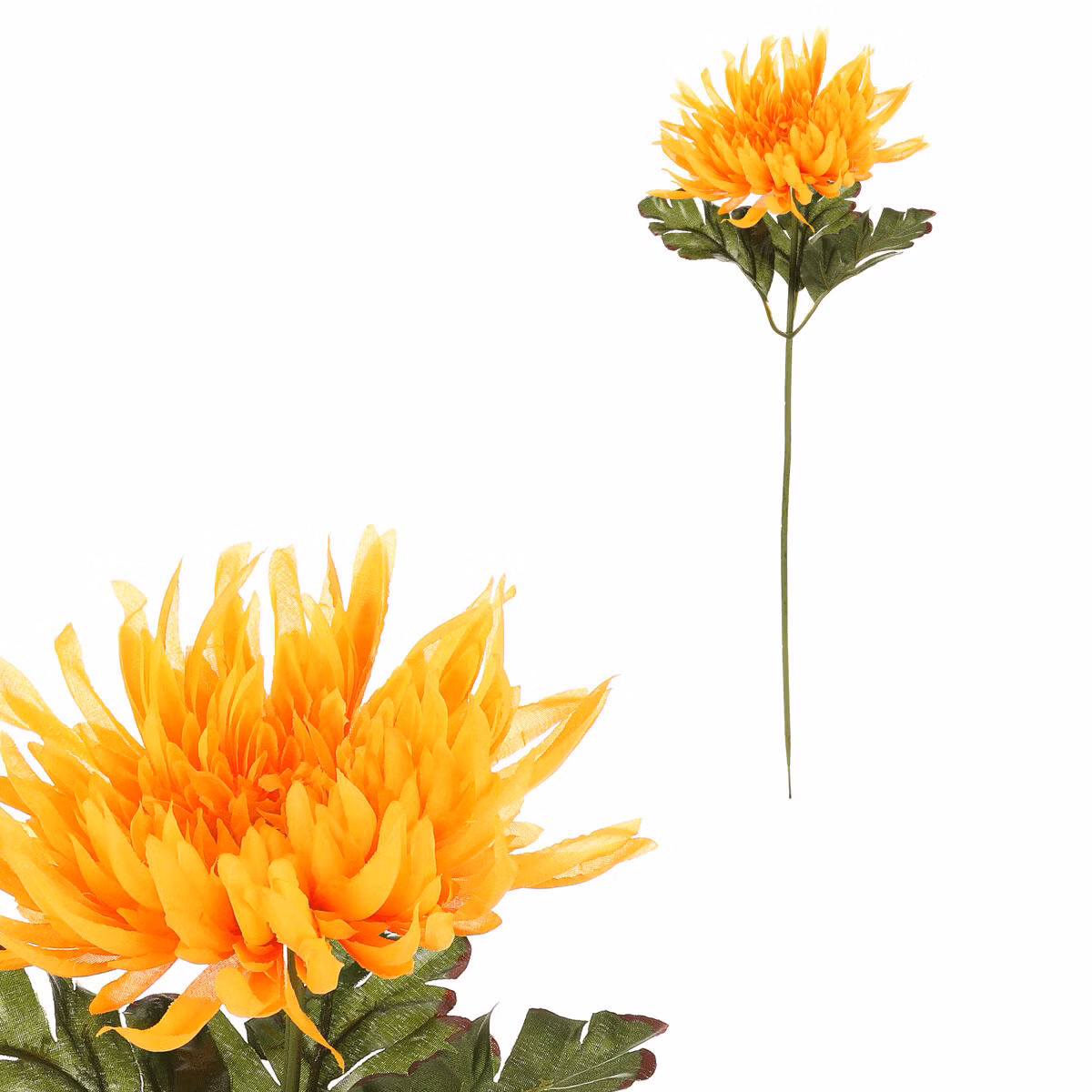 05551a64672939db5b028b79c0a5c179