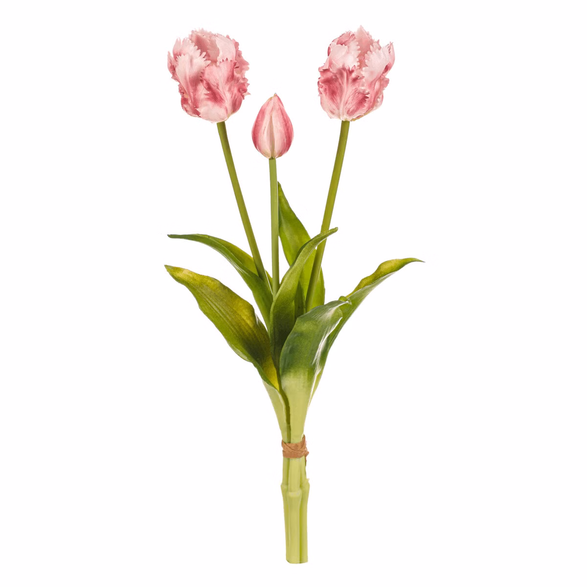 05a1f3e3581e6e88c840696b3fd36833