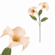 05bf6d48ac6c20ed2ef773db3d4945cc