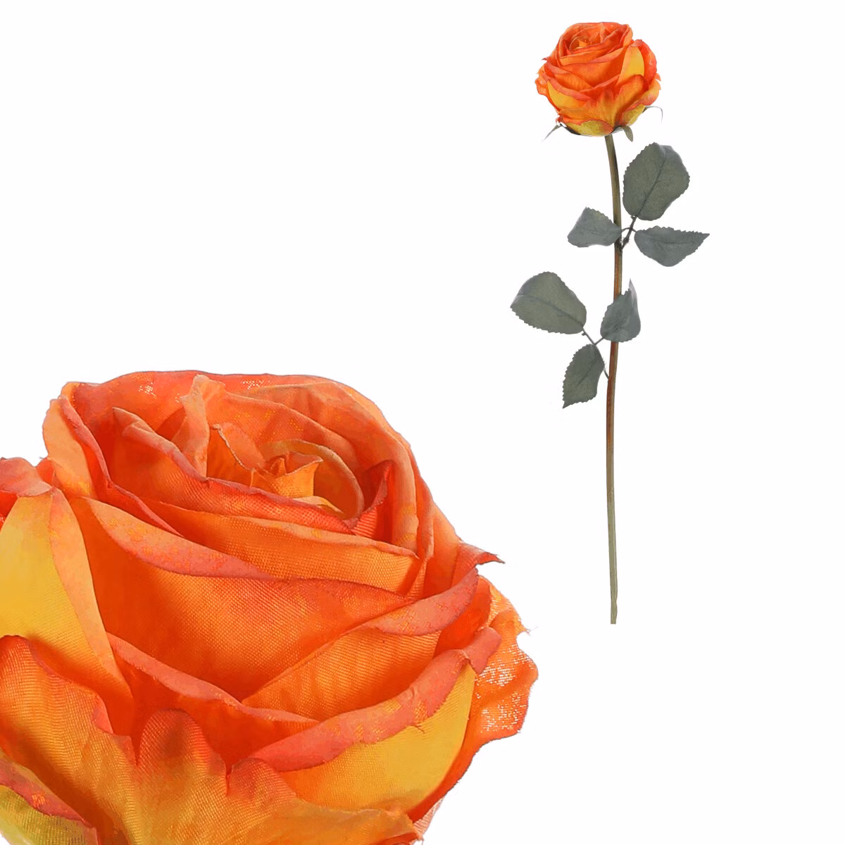 07f2069531c2996b19f7e99247b20463