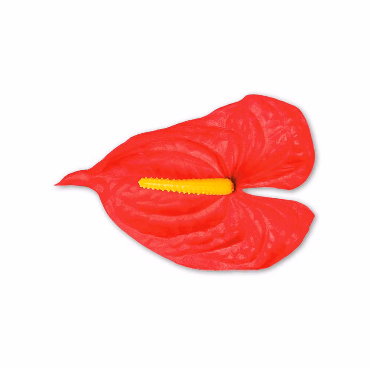 097c8b788492430ac087fd2e085c2681