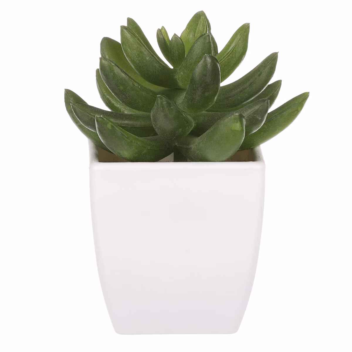 0a441062479619f34c6c56066cc380bc