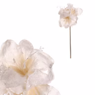 0c2354735e43f94c1deb7c554e384a51