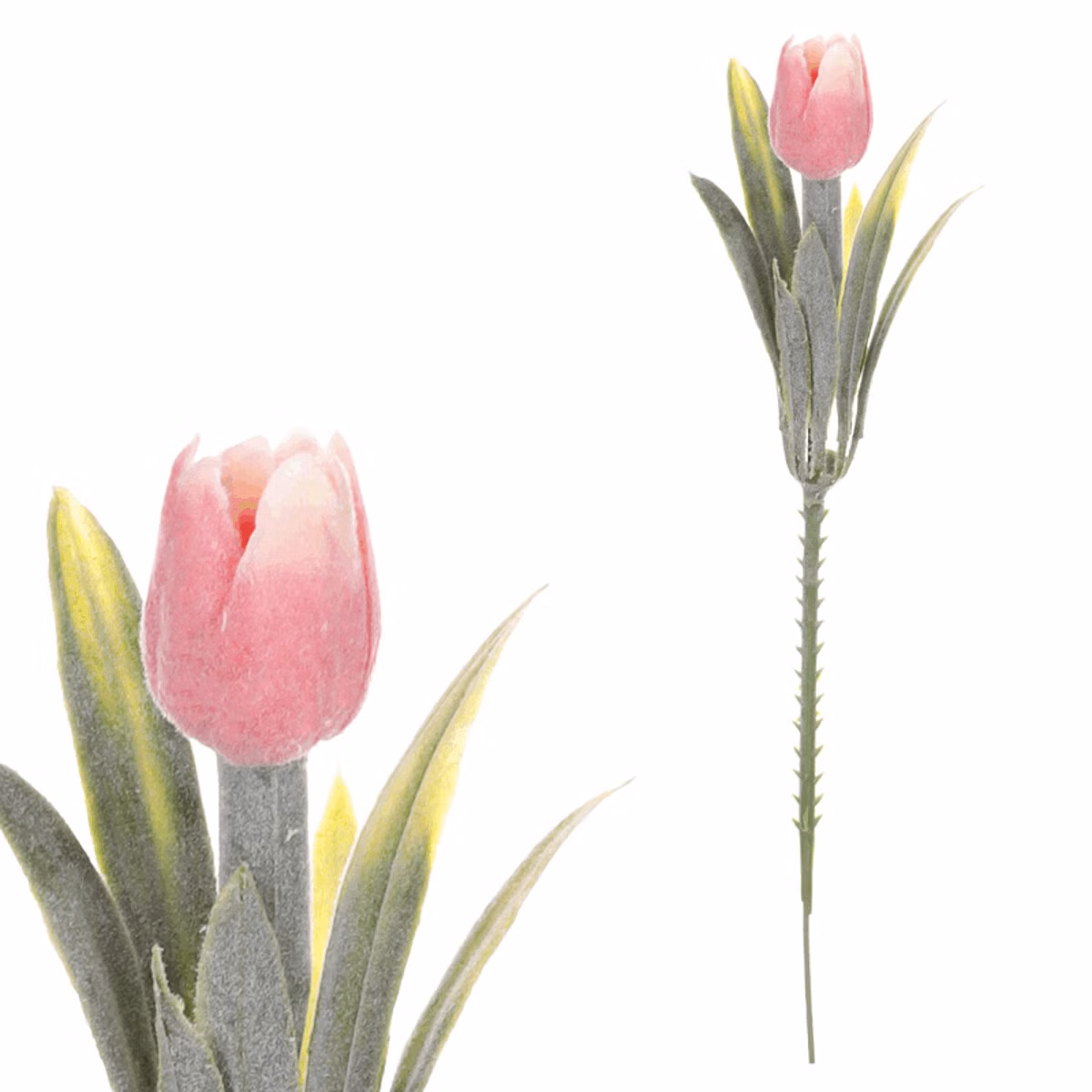 0cbbe965b6fbe13e45a633edd1356633