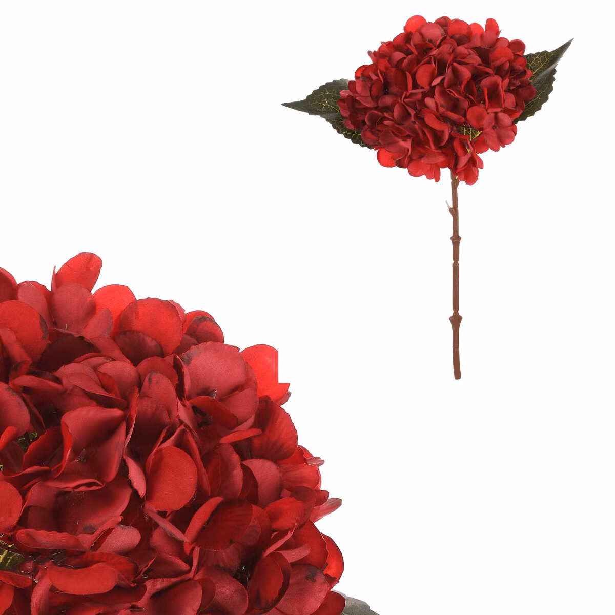 0e193e3176bb6f303248ccbb6edc32c6