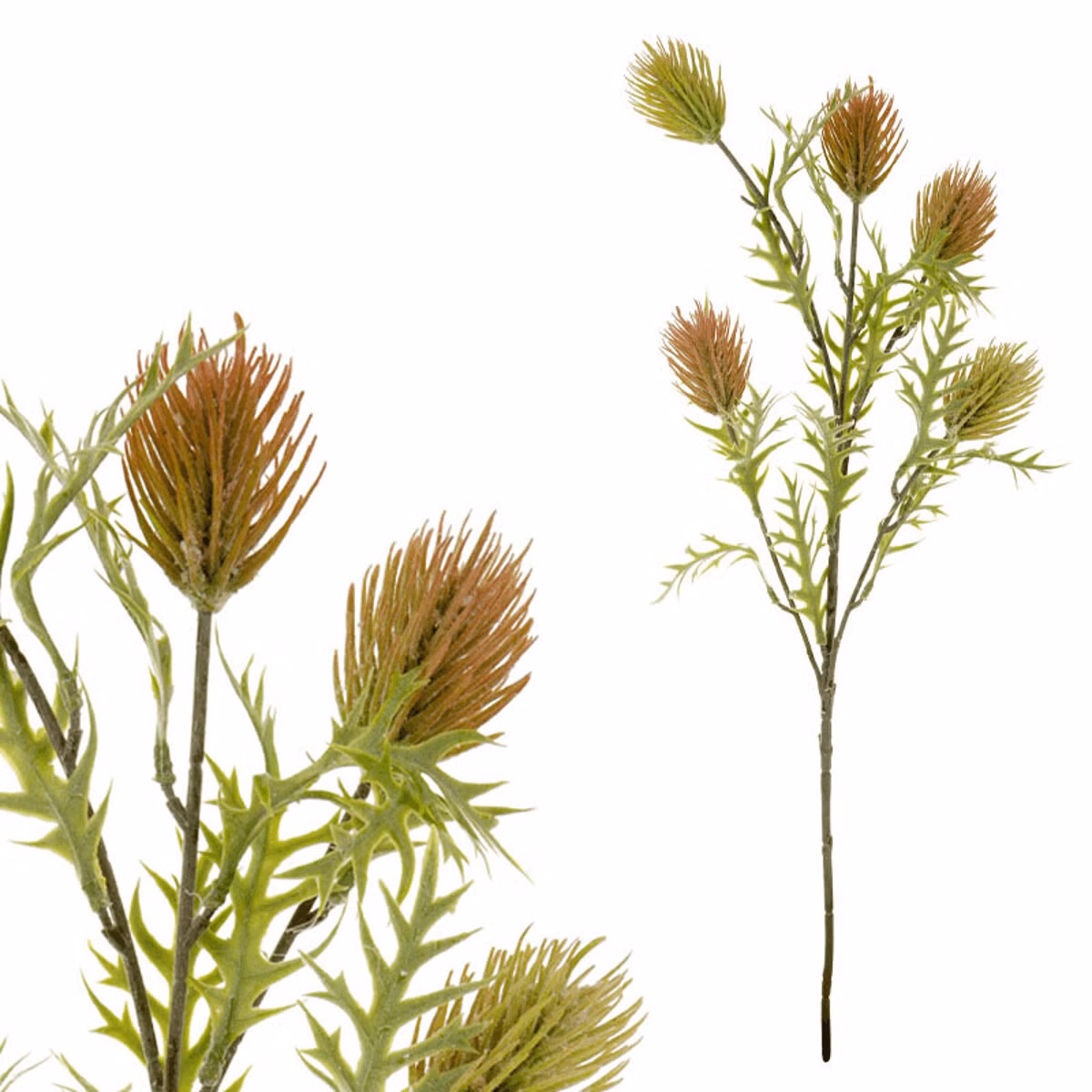 0e93186c2e5b06517762cc59296b3356