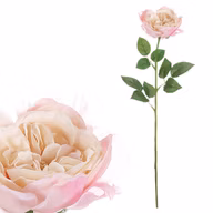 0eb89e09f0c5f585e609abbb59e4e933