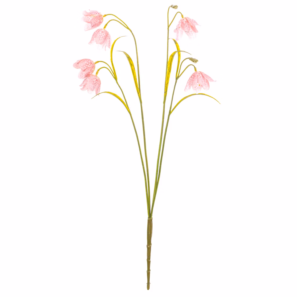 0ec5f3300f0fb797fa77ee4215a4fae6