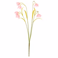 0ec5f3300f0fb797fa77ee4215a4fae6