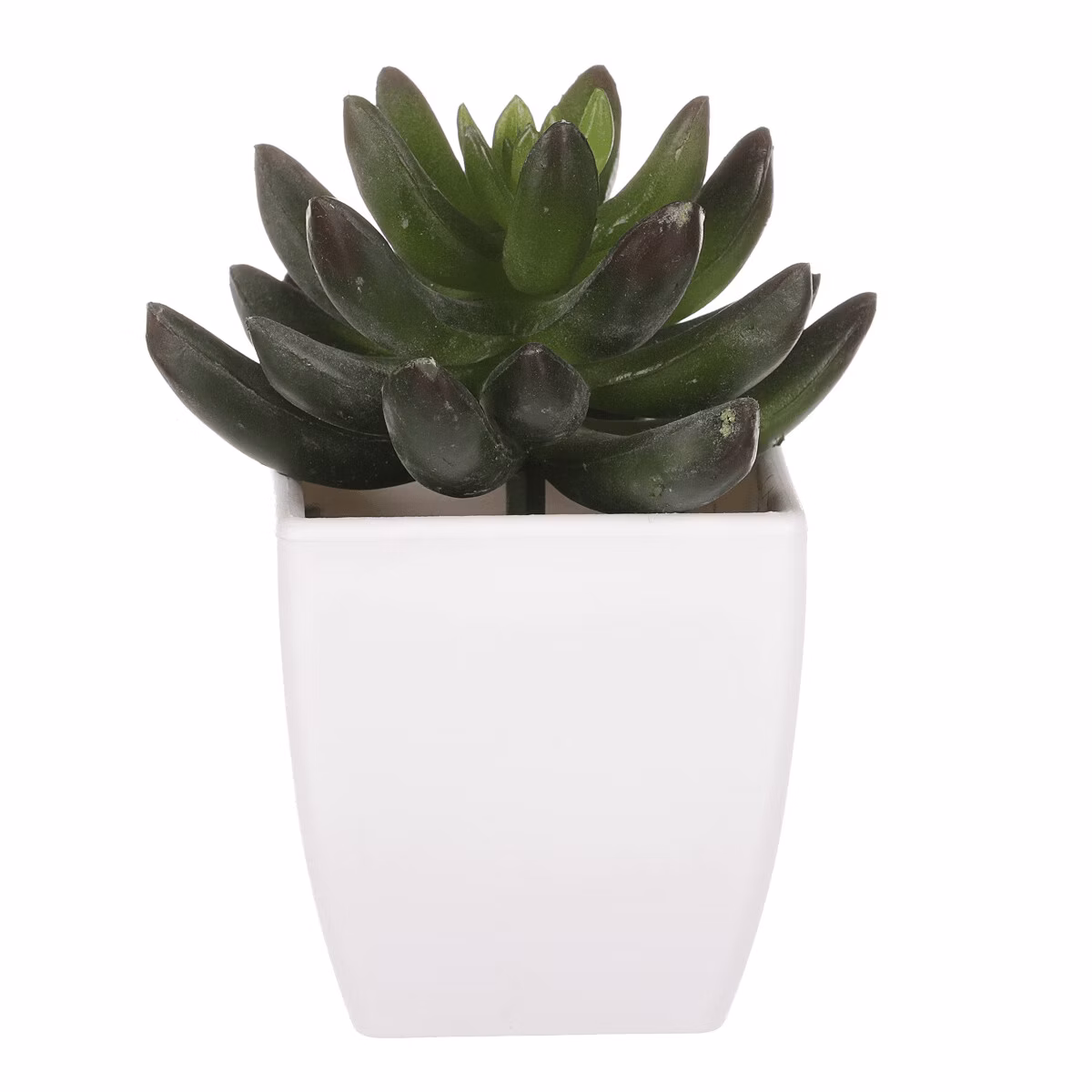 0f0836bbd01d1f7afd7628fc7e7bab8d