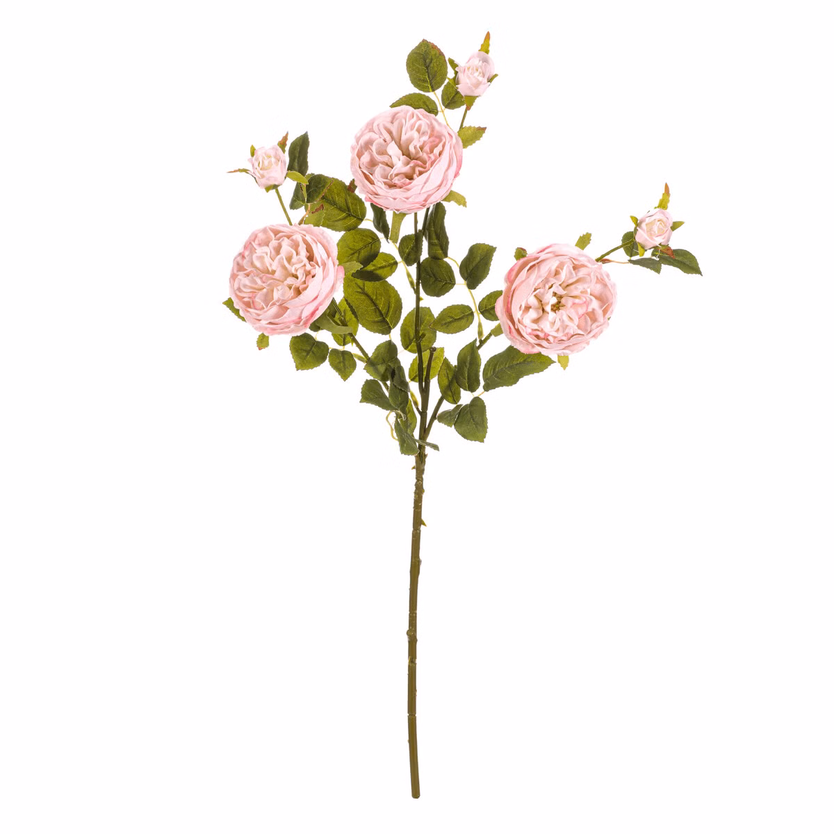 0f83d99c9959ac9c45f6ebcc6dd005b4