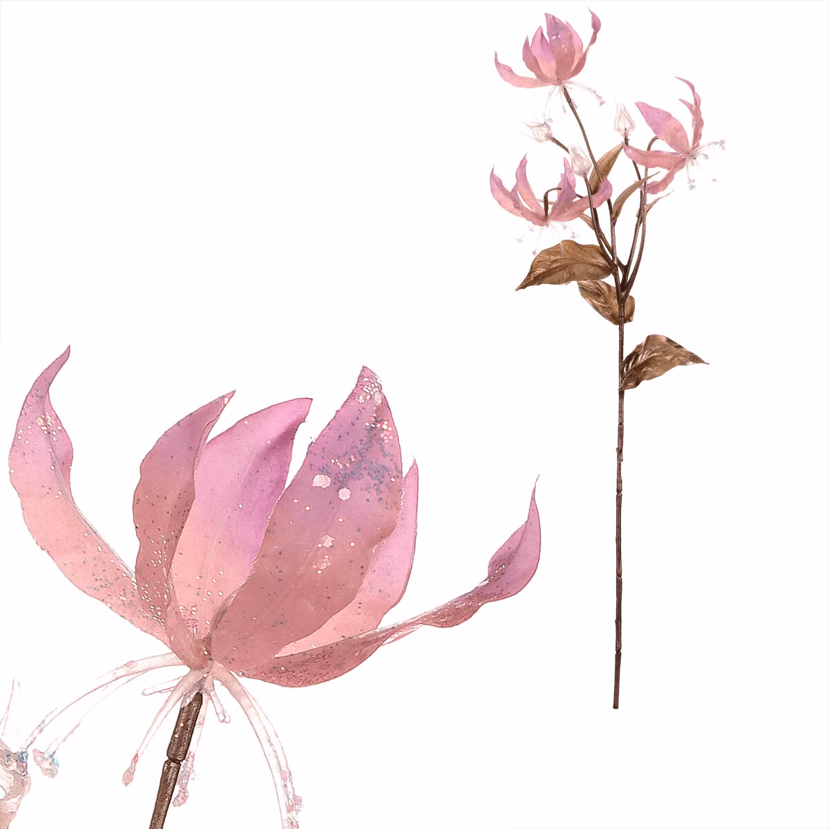 0f9a44cd544ce07be2d36856cc18acad