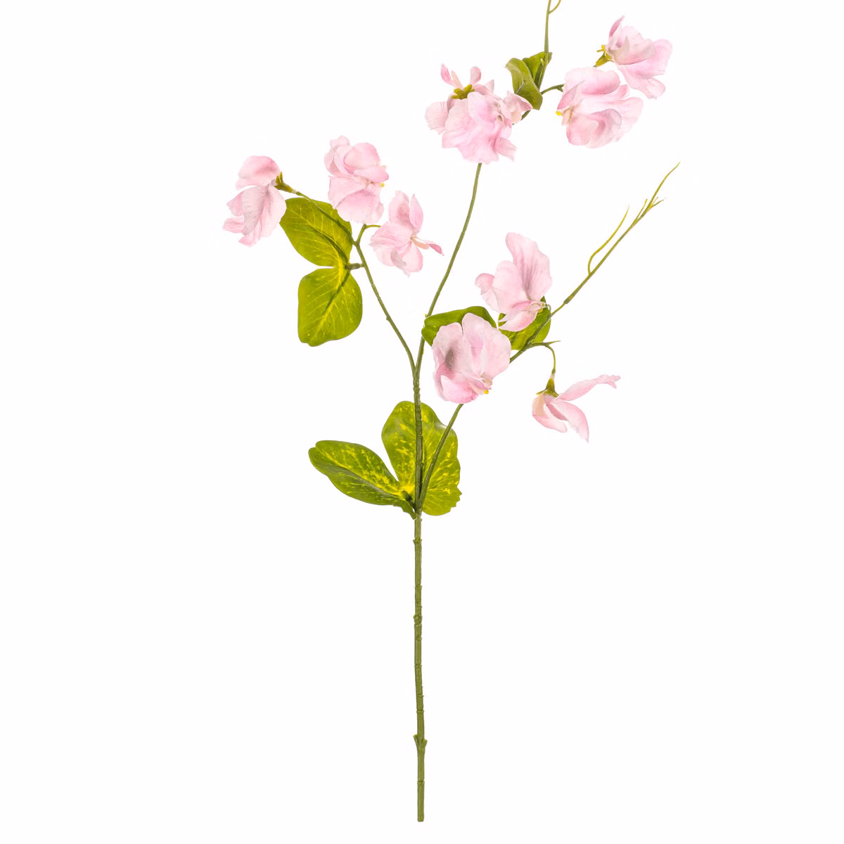 10900e2148675ec741c2040d2660fba8