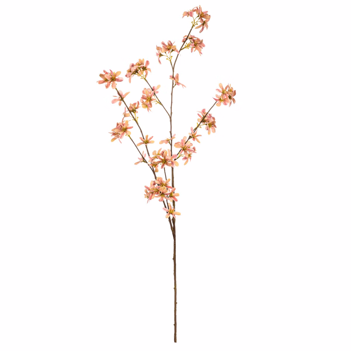 109b2408f0eef78fe1b05959a7c22f1d